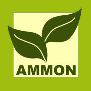 Bürobegrünung – green your workplace